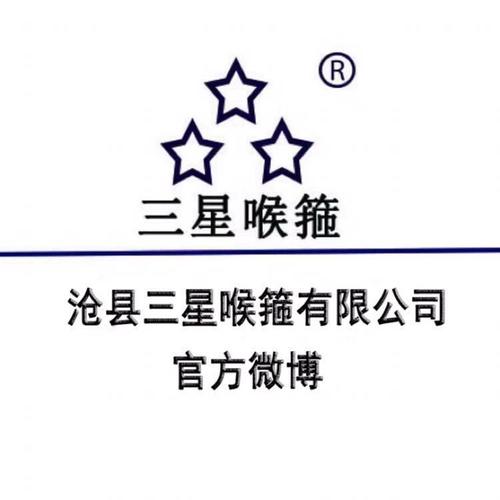 欧式304不锈钢喉箍 防水防锈，牢固耐用的工业选择